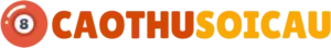 caothusoicau logo
