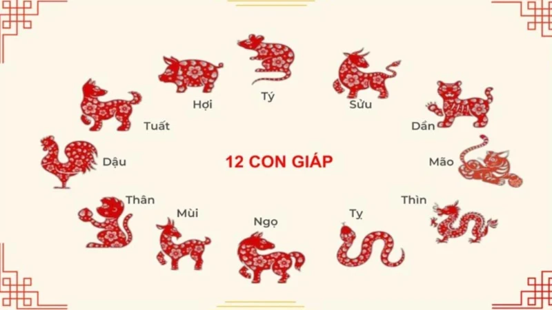 Những lưu ý khi áp dụng cách soi cầu 12 con giáp